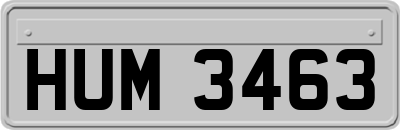 HUM3463