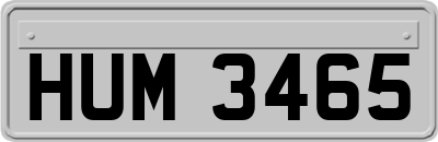 HUM3465