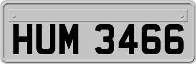 HUM3466