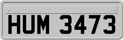 HUM3473