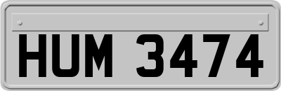 HUM3474