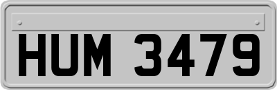 HUM3479