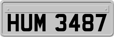 HUM3487