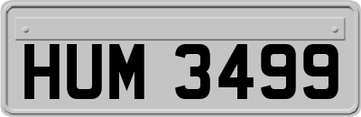 HUM3499