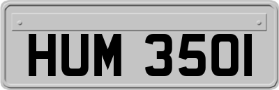 HUM3501