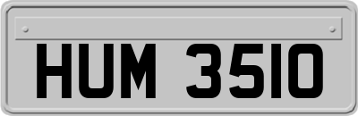 HUM3510