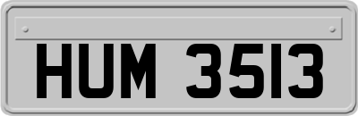 HUM3513