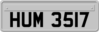 HUM3517