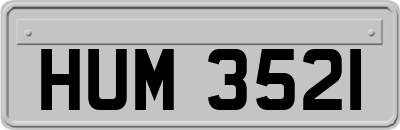 HUM3521