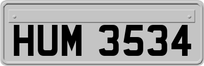 HUM3534