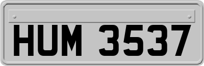 HUM3537