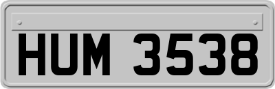 HUM3538