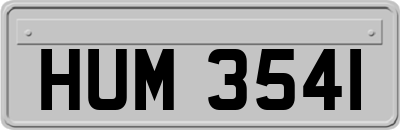 HUM3541