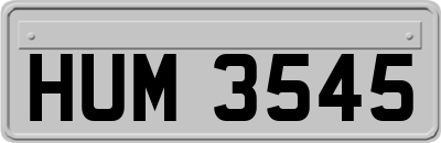 HUM3545