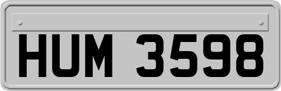 HUM3598