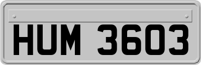 HUM3603