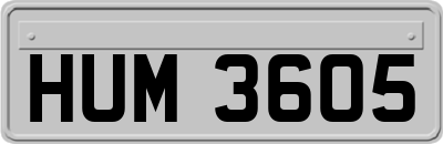 HUM3605