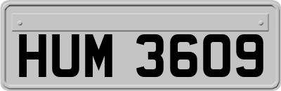 HUM3609