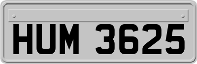 HUM3625