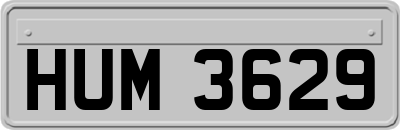 HUM3629