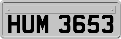 HUM3653