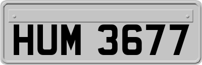 HUM3677