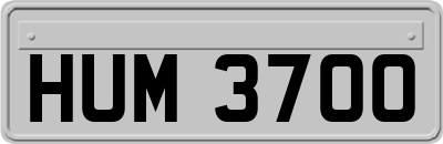 HUM3700