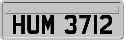 HUM3712