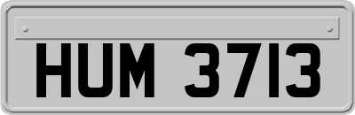 HUM3713