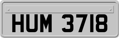 HUM3718