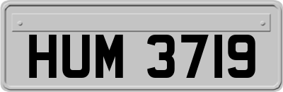 HUM3719