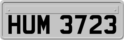 HUM3723