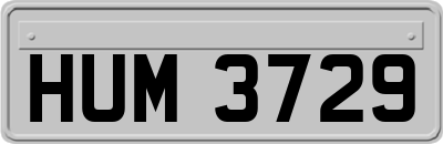 HUM3729