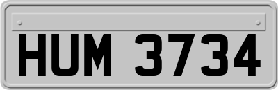 HUM3734