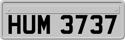 HUM3737