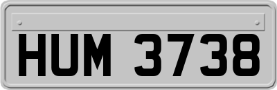 HUM3738