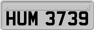 HUM3739