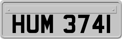 HUM3741