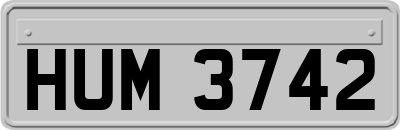 HUM3742