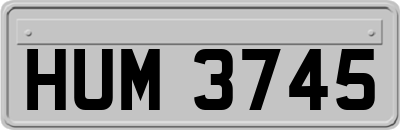 HUM3745