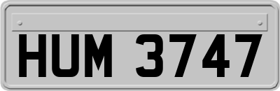 HUM3747