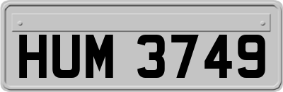 HUM3749