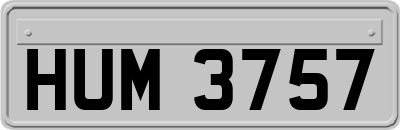 HUM3757