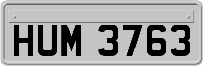 HUM3763