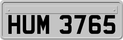 HUM3765