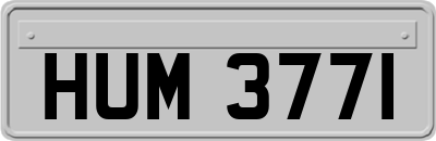 HUM3771