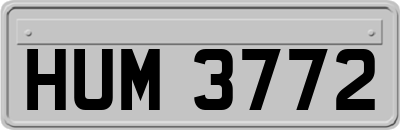 HUM3772