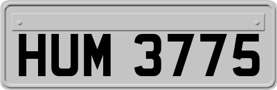 HUM3775