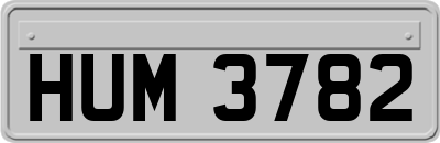 HUM3782