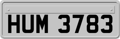 HUM3783